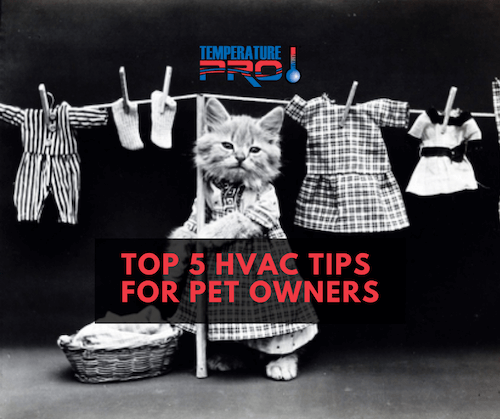hvac tips for charleston pet owners